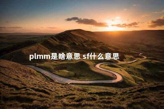 plmm是啥意思 sf什么意思